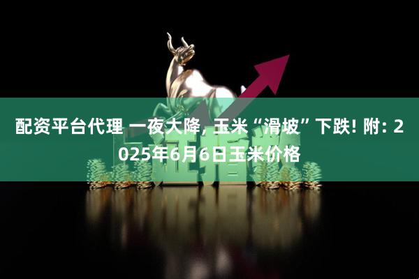 配资平台代理 一夜大降, 玉米“滑坡”下跌! 附: 2025年6月6日玉米价格